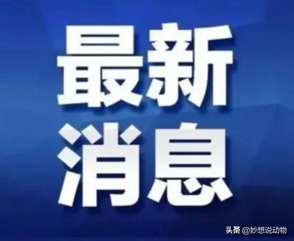 宁都水东最新招聘信息-宁都水东招聘资讯速递