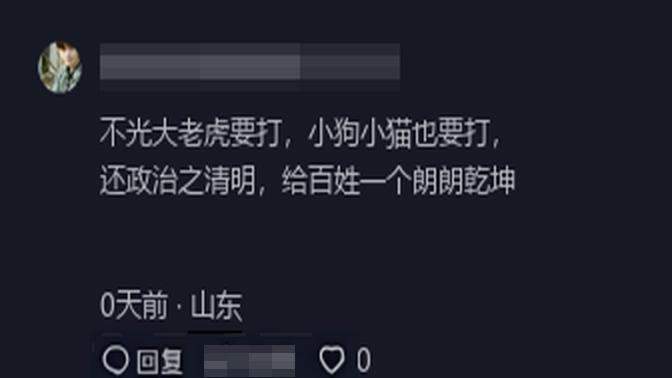 “动物乐园里温馨互动，老虎友好亮相新篇章”